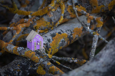 Miniature little purple colored cottage among old trees branches background, self solation conceptの写真素材