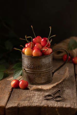 Yellow and red cherries in a vintage cupの写真素材
