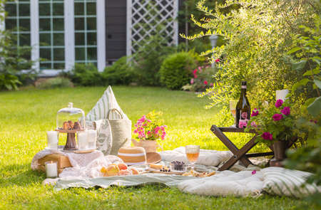 Summer picnic in the garden yard, cheese brie, baguette, fruits, wine, flowersの写真素材
