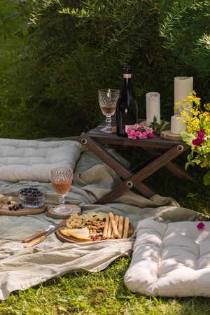 Summer picnic in the gardenの写真素材
