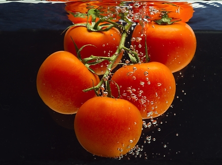 A branch of fresh tomato falls into the liquidの写真素材