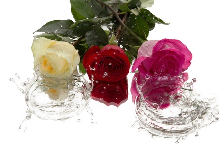 Flowers and Fall of liquid dropsの写真素材