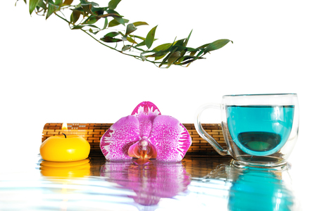 Orchid and  turquoise Bufferli pea tea with reflectionの写真素材