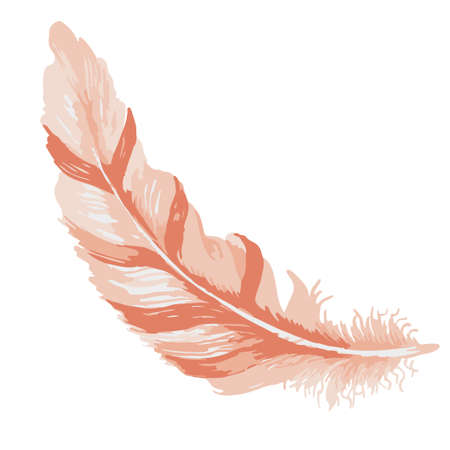 Vector illustration of watercolor feather.のイラスト素材