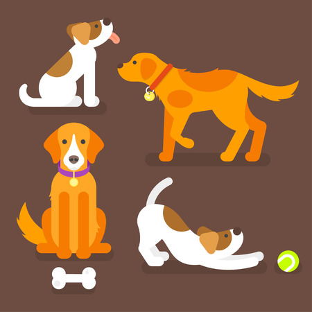 Vector flat style illustration of funny dogs at home. Pet plays with ball. Brown background.のイラスト素材