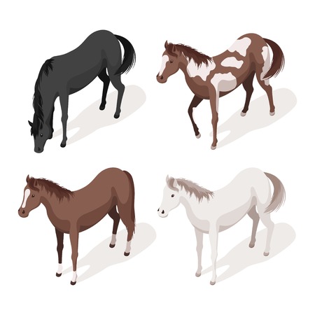 Isometric 3d vector illustration set of horses. Icon for web. Isolated on white background.のイラスト素材