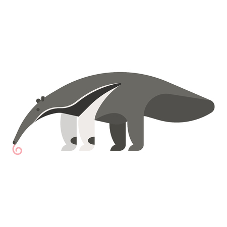 Vector flat style illustration of anteater. Icon for web.のイラスト素材