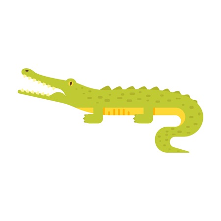 Vector flat style illustration of crocodile. Icon for web. Isolated on white background.のイラスト素材