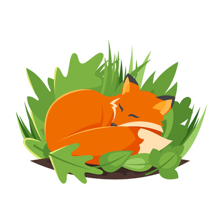 Vector cartoon style illustration of sleeping fox. Icon for web. Isolated on white background.のイラスト素材