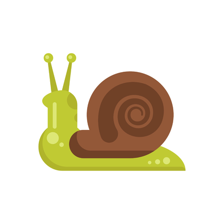 Vector flat style illustration of snail. Icon for web. Isolated on white background.のイラスト素材