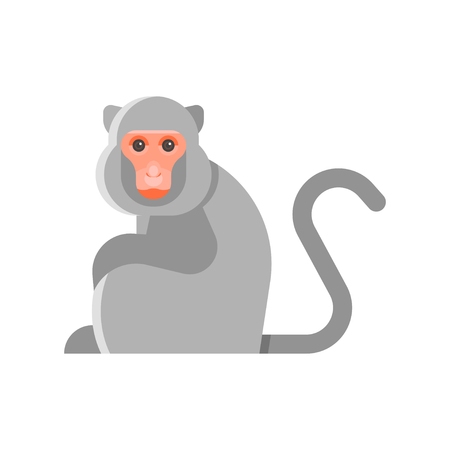 Vector flat style illustration of monkey. Icon for web. Isolated on white background.のイラスト素材
