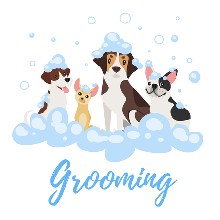 Vector cartoon style illustration of dogs of different breeds in soap foam. Grooming concept.のイラスト素材