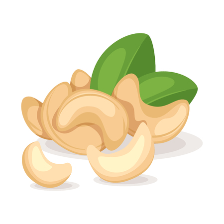 Cashew nut kernels with green leaves.のイラスト素材