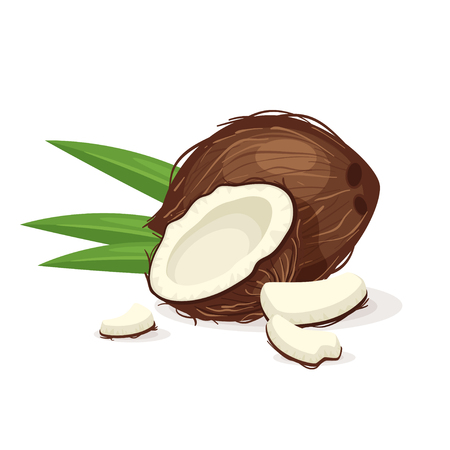 Coconut with green leaves. Whole and split fruit.のイラスト素材