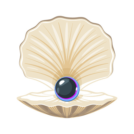 Cartoon style beige color seashell with beautiful pearl inside isolated on whiteのイラスト素材