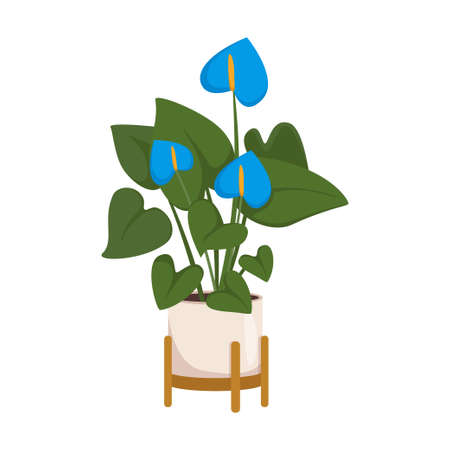 Vector cartoon style illustration potted house plantのイラスト素材