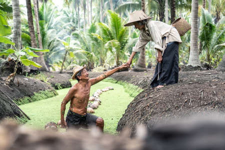 Asian loving romantic senior elder couple farmer work in coconut farm. Older grandmother farmer...