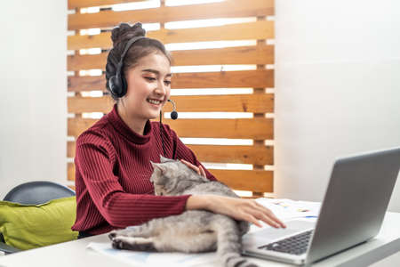Asian young beautiful oversea student girl working and studying online internet education class from homeの写真素材