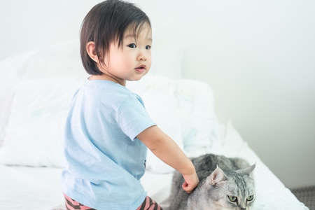 Asian little young cute baby kid playing with cat on white bed in bedroom at home. The little child love pet feeling fun with happiness. Young baby activity and development growth with animal concept.の写真素材