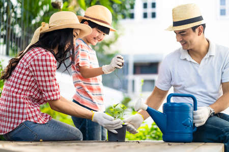 Asian lovely young family plant a tree in front of home together. Boy hold some soil while mother and father put a seedling in pot. People are happy nature activity. Family education lifestyle conceptの写真素材