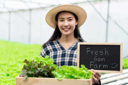 Asian cute farmer holding written "Fresh from farm" wooden blackboard and box of full load of salad such as green oak, red oak, cos lettuce in hydroponic greenhouse farm. Healthy background concept.の写真素材
