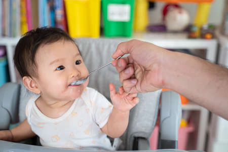 Father feed mashed food to Asian baby cute girl who sit in highchair at home. Little girl look at dad, eat yummy health food. Parent give 5 food group and high nutrition for daughter. Family concept.の写真素材