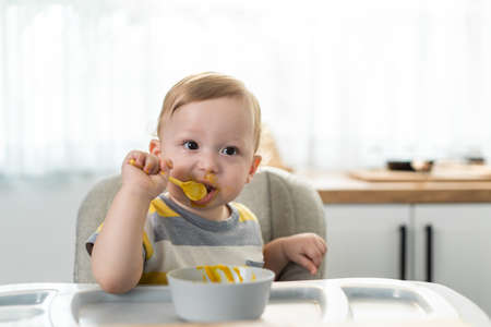 Caucasian young baby toddler eating healthy foods in kitchen at home. Little adorable cute kid boy infant sitting on children chair alone, enjoy having lunch in house. Child development skill concept.の写真素材