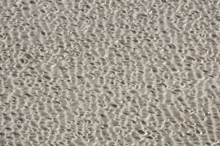 Closeup of Mont St Michel muddy field. Walking there is dangerous and requires a guide