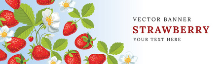 strawberry horizontal banner with flowers.のイラスト素材