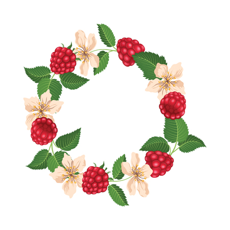 Round frame with raspberry and blossom. Vector illustrationのイラスト素材