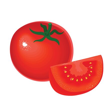 Collection of fresh red tomatoes vector illustrations. Half a tomato, a slice of tomato.のイラスト素材