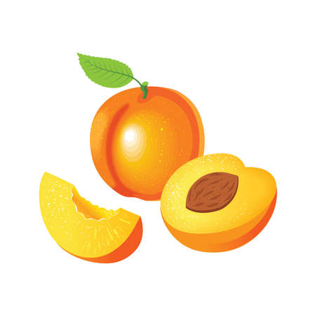 白桃 のイラスト素材 イメージマート 白桃 のイラスト素材 イメージマート