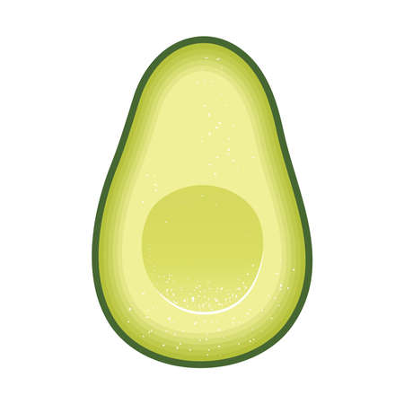 Realistic vector avocado illustration. Half of avocado on a white background.のイラスト素材