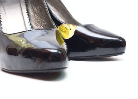 Butterfly and woman shoes isolated on whiteの写真素材