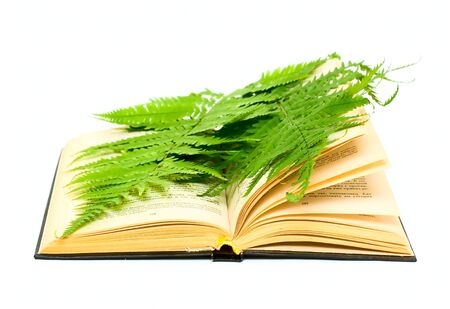 Book and plant isolated on whiteの写真素材