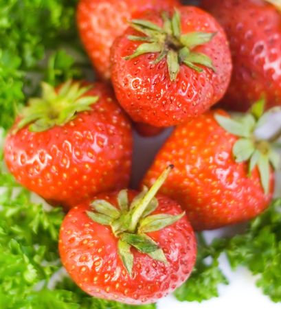 Strawberries background for your designの写真素材