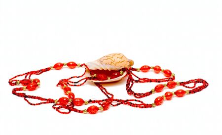 Ocean cockleshell and beads isolated on whiteの写真素材