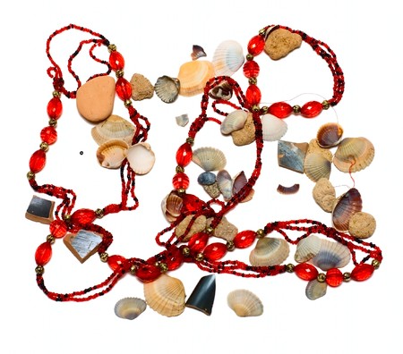 Ocean cockleshells and decoration isolated on whiteの写真素材