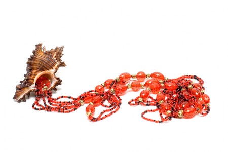 Ocean cockleshell and beads isolated on whiteの写真素材