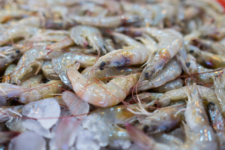 Banana shrimp at seafood market, Thailandの写真素材