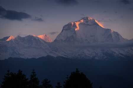 Dhaulagiri mountain peak in a morning sunrise at Poonhill, ABC, Pokhara, Nepal, Asia