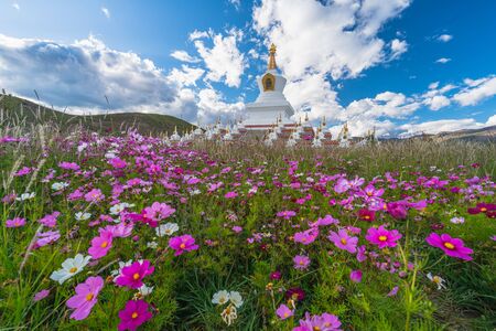 Namgyal tallinn, Tibetan buddhist style white pagoda with flower in Daocheng, Ganzi, Sichuan, China,...