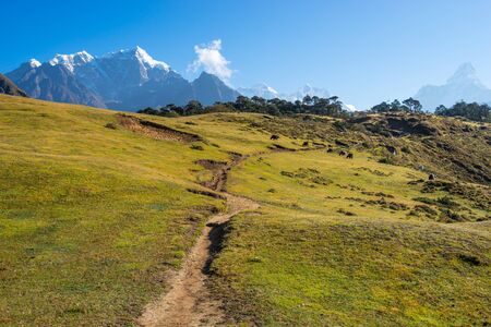 Trekking trail in Everest base camp surrounded by Himalaya mountains, Nepal, Asia