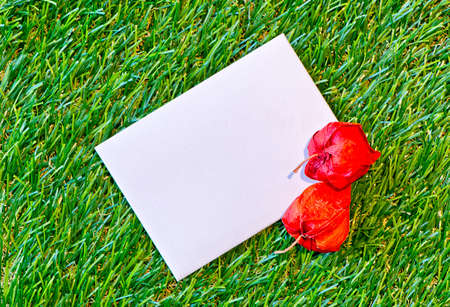 Blank Paper Note with Chinese Lanterns on Green Grass as seen from Above