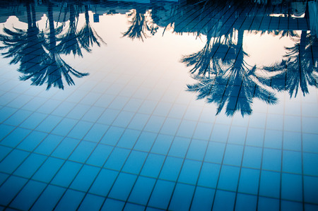 Reflections of palm trees in the calm blue water of a swimming pool conceptual of tropical summer vacations and travelの写真素材