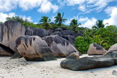 Close up Big Historic Rocks and Tall Green Trees on the Landscape of Seychelles Island with White Beach Sand.の写真素材