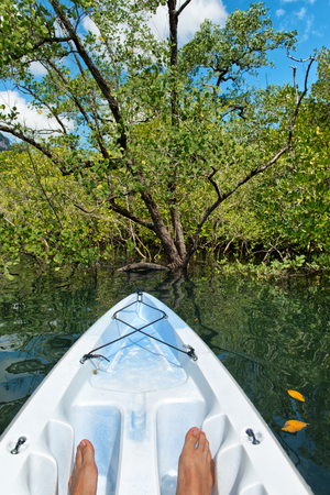 Kayaker or canoeist exploring the sea and shoreline off Launay beach in Mahe, Seychelles, showing his feet in the prow of the boat facing lush tropical vegetation onshoreの写真素材