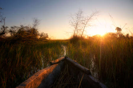 Boat in a riverの写真素材