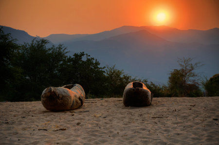Makoro boat on the beachの写真素材