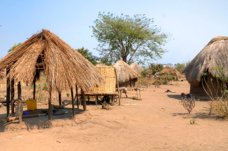 Local village in Africaの写真素材